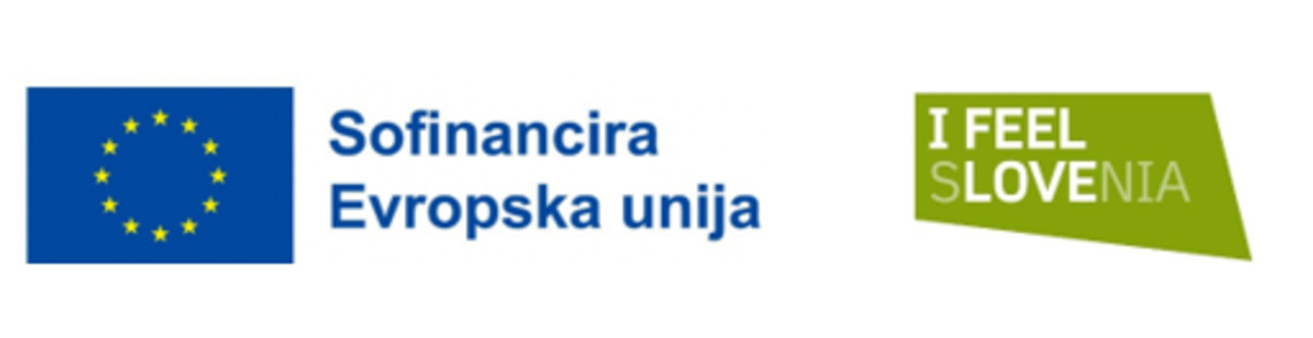 Eu logo